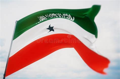 Waving Flags Of The World Flag Of Somaliland Shot With A Shallow