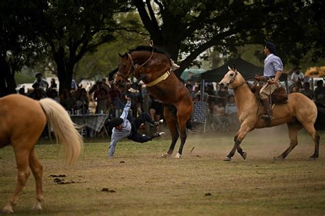 El 6 de diciembre es el Día Nacional del Gaucho en conmemoración de la