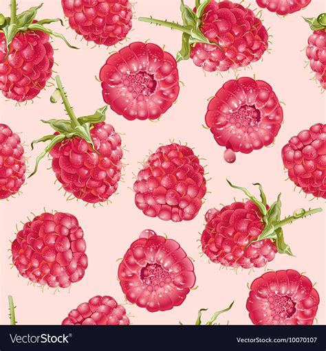 Raspberry Seamless Pattern Royalty Free Vector Image