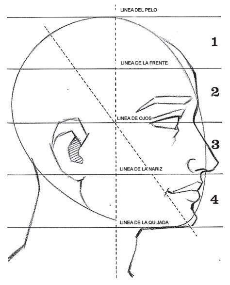 Pin De Picamlse En Esquema Basico Del Rostro Cómo Dibujar Retratos