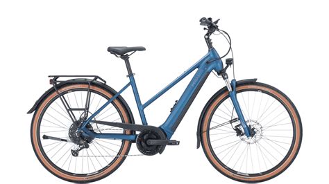 Sport Haderer Pegasus E Bike Premio Evo Erwachsenenfahrrad