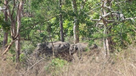 In Pics Pm Modi S Visit To Bandipur Tiger Reserve Hindustan Times