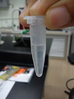 The Guys Of Bioprocess Technology: Lab 6: Extraction of Plasmid DNA ...