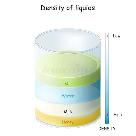 Density Liquids Separate Fluids Layers In Glass Stock Vector