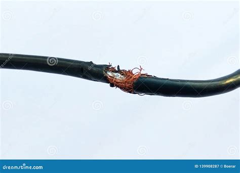 Damaged Cord Stock Photos Free Royalty Free Stock Photos From