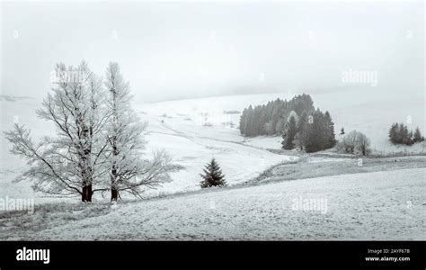 Snowy landscape in the Erzgebirge mountains Stock Photo - Alamy