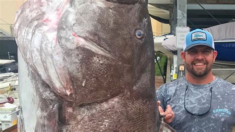 Pesca insólita sacó un pez de 50 años y casi 160 kilos que está en