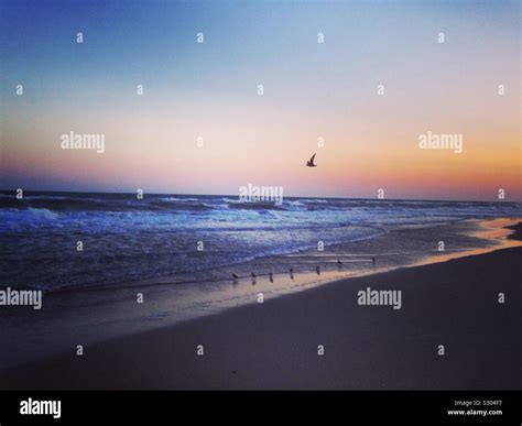 Beach sunset over ocean Stock Photo - Alamy