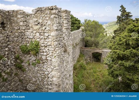 The Castle Wall of Sesimbra Stock Photo - Image of vegetation, tree ...