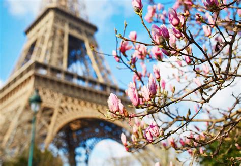 12 Best Things To Do In Paris In March In 2024 (+The Weather, Where To ...