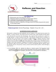 Reflexes And Reaction Time Understanding Autonomic Reflexes And