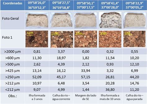 Caracterização e análise granulométrica dos sedimentos e amostras de