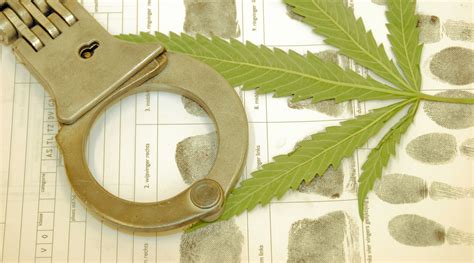 The Fascinating History of Hemp Prohibition | Releaf UK