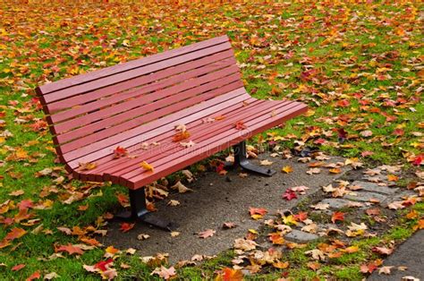 Red Bench And Autumn Leaves Stock Image Image Of Lonely Season 29744871