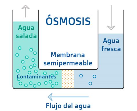 Ósmosis inversa ventajas y desventajas WaterStation