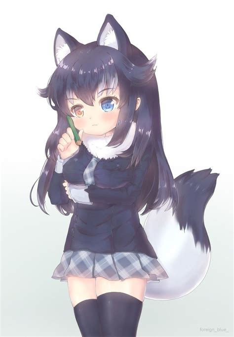 Kemono Friends Wolf Cat Girl Cute Anime Character Anime Wolf Girl