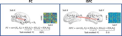 Frontiers A Tale Of Two Connectivities Intra And Inter Subject