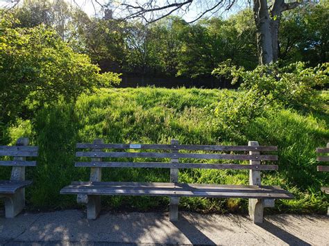 Adopt a Bench | Riverside Park Conservancy