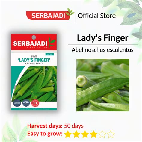 Serbajadi Vegetable Seed Ladys Finger Biji Benih Kacang Bendi Sayur