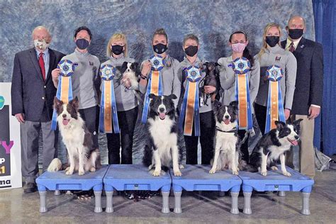 Meet The 2021 American Kennel Club AKC National Agility Championship