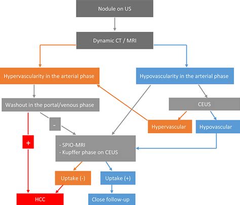 Diagnosis Of Hepatocellular Carcinoma Intechopen