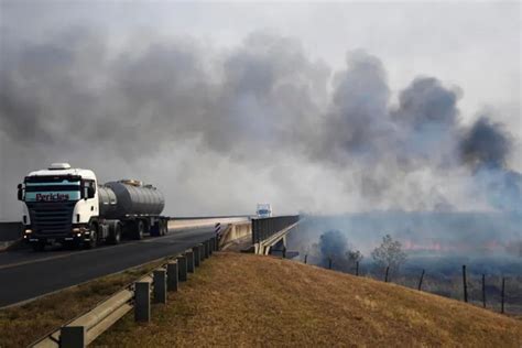 El Fuego Arrasó 300 Mil Hectáreas Y Devastó A Fauna Y Flora De Los