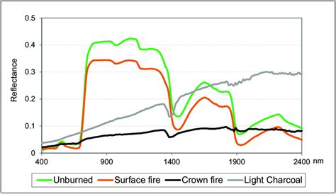 Reflectance Spectra For Unburned Vegetation Canopy And Fires Affecting