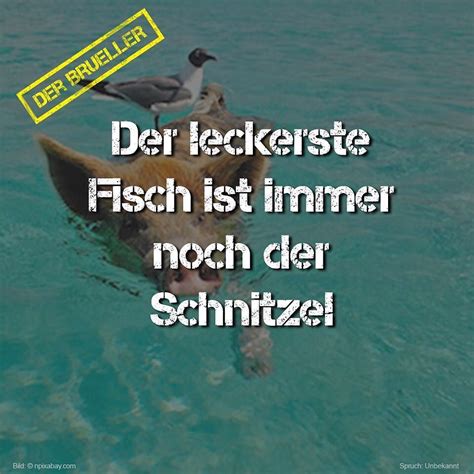 Lustig Witzig Sprüche sprüchezumnachdenken spruchdestages