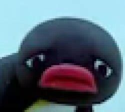 "pingu" Meme Templates - Imgflip