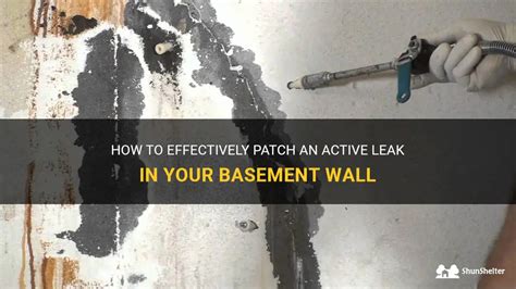 How To Effectively Patch An Active Leak In Your Basement Wall ShunShelter