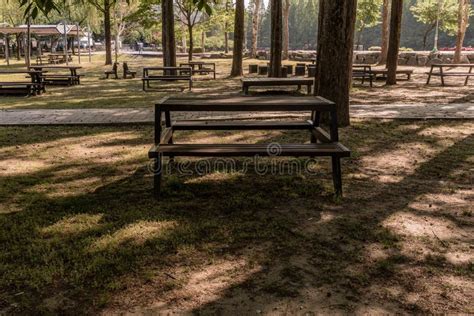 Picnic Tables in a Public Park Stock Photo - Image of safe, play: 94848904