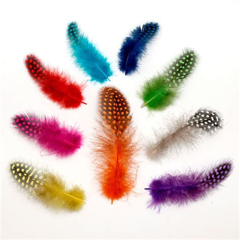 Hot Selling about 5 12cm Multi Colors Chicken pheasant feathers ...