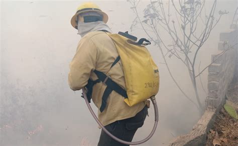 Incendio En Bosque De La Primavera Zapopan Hoy Llamas Consumen Paraje