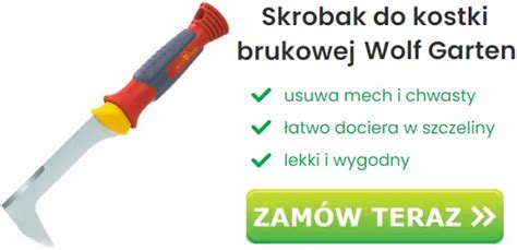 Narzędzia do czyszczenia kostki brukowej z chwastów