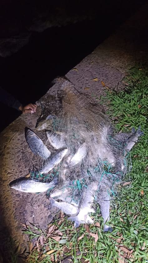 Pol Cia Ambiental Flagra Pesca Irregular No Rio Piracicaba E Aplica