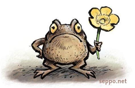 Animals Common Toad And Kingcup Environmental Cartoons Common