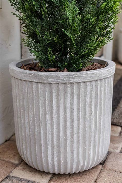 Easily Make Your Own DIY Concrete Planters! – Hello Kids Fun