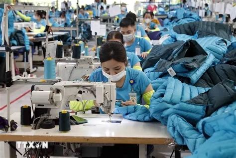 Textile Garment Exports Projected To Hit Billion Usd This Year