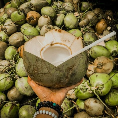 The real health benefits of fresh coconut water - Lifestyle Asia KL