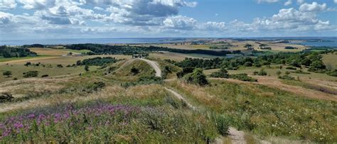 Guidet Vandretur Gennem Mols Bjerges Istidslandskaber