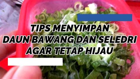 Tips Menyimpan Daun Bawang Dan Seledri Agar Tetap Segar Dan Hijau