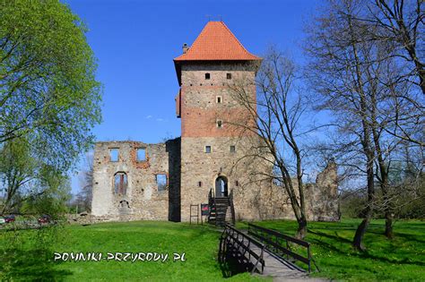 zamek Chudów Pomniki przyrody