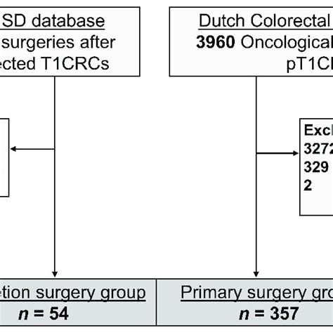 Flow Diagram Of Patient Selection Esd Endoscopic Submucosal Download Scientific Diagram