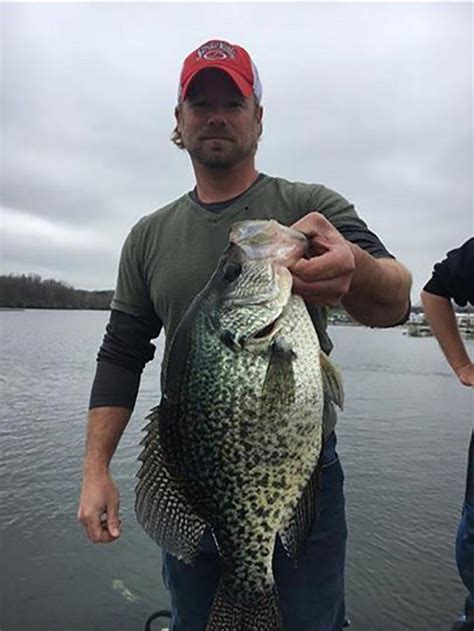 4 Lb 88 Oz Illinois Record Crappie Caught On Lake Kinkaid