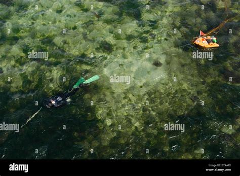 Diving Into Sea Wetsuit Hi Res Stock Photography And Images Alamy