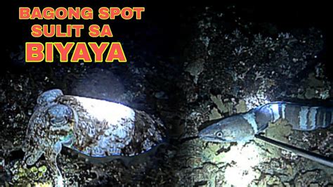 EP47 BAGONG SPOT SULIT SA BIYAYA Night Spearfishing Philippines YouTube