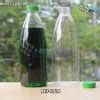 Jual Pet Botol Plastik Minuman Cantik Ml Tutup Segel Hijau Di