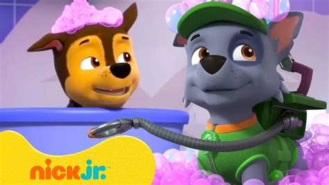 Patrulha Canina Hora Do Banho De Espuma Da Patrulha Canina C Chase 🛁 10 Minutos Nick Jr