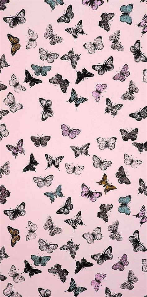 Butterfly iPhone Wallpapers - Wallpaper Cave