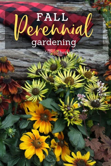 Fall Perennial Gardening: Garden Design on a Budget